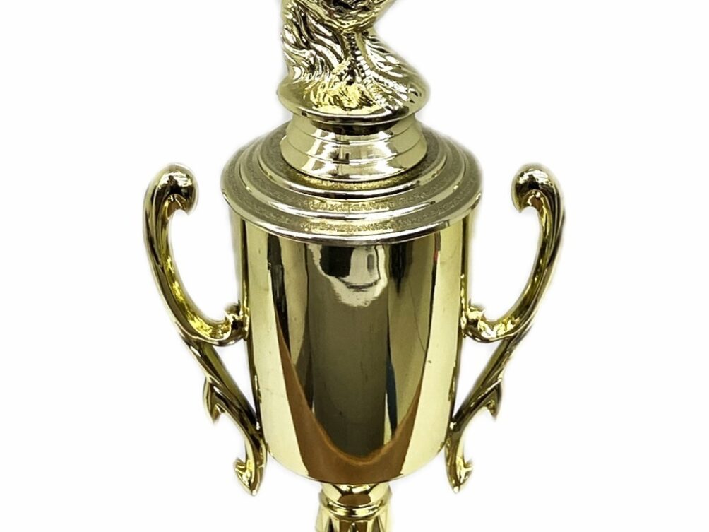 Chicken Trophy 275mm