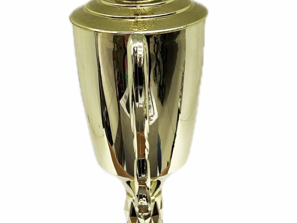 Chicken Trophy 315mm