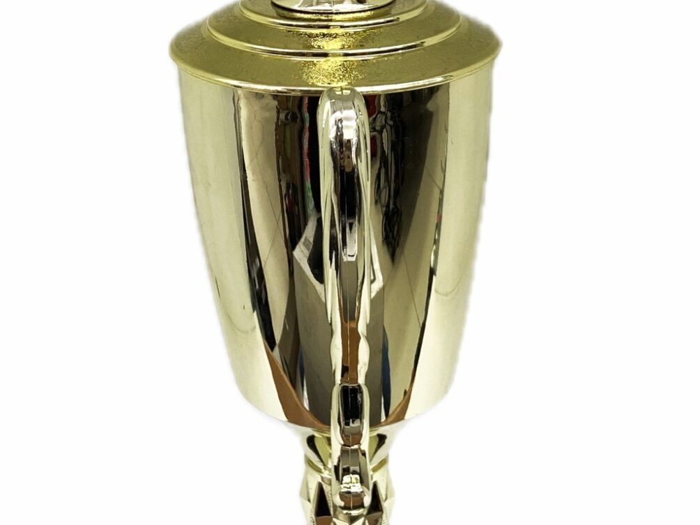 Chicken Trophy 315mm
