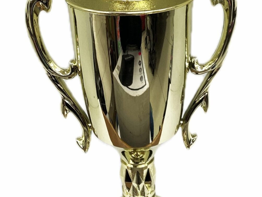 Chicken Trophy 355mm
