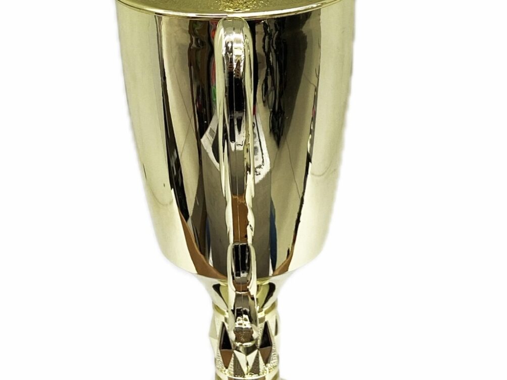 Chicken Trophy 355mm