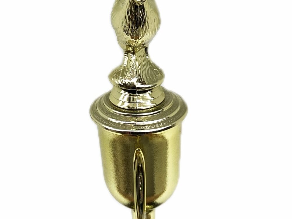Chicken Trophy 240mm