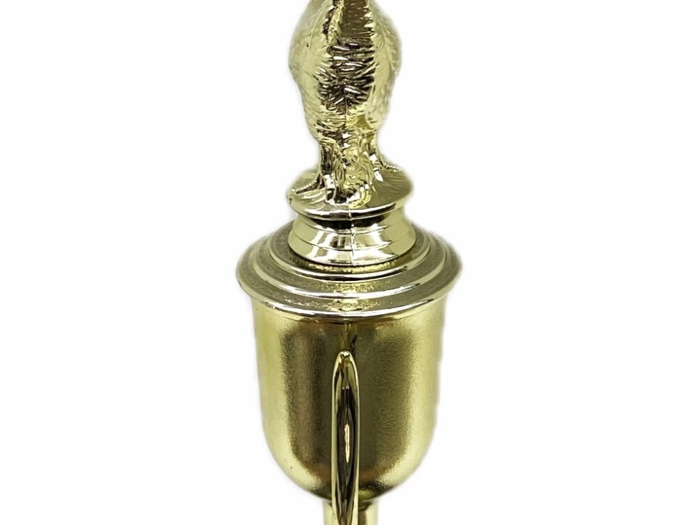 Chicken Trophy 240mm