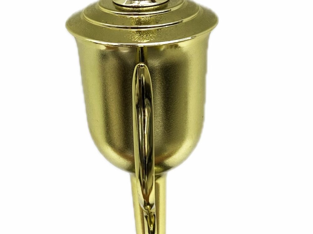 Chicken Trophy 315mm