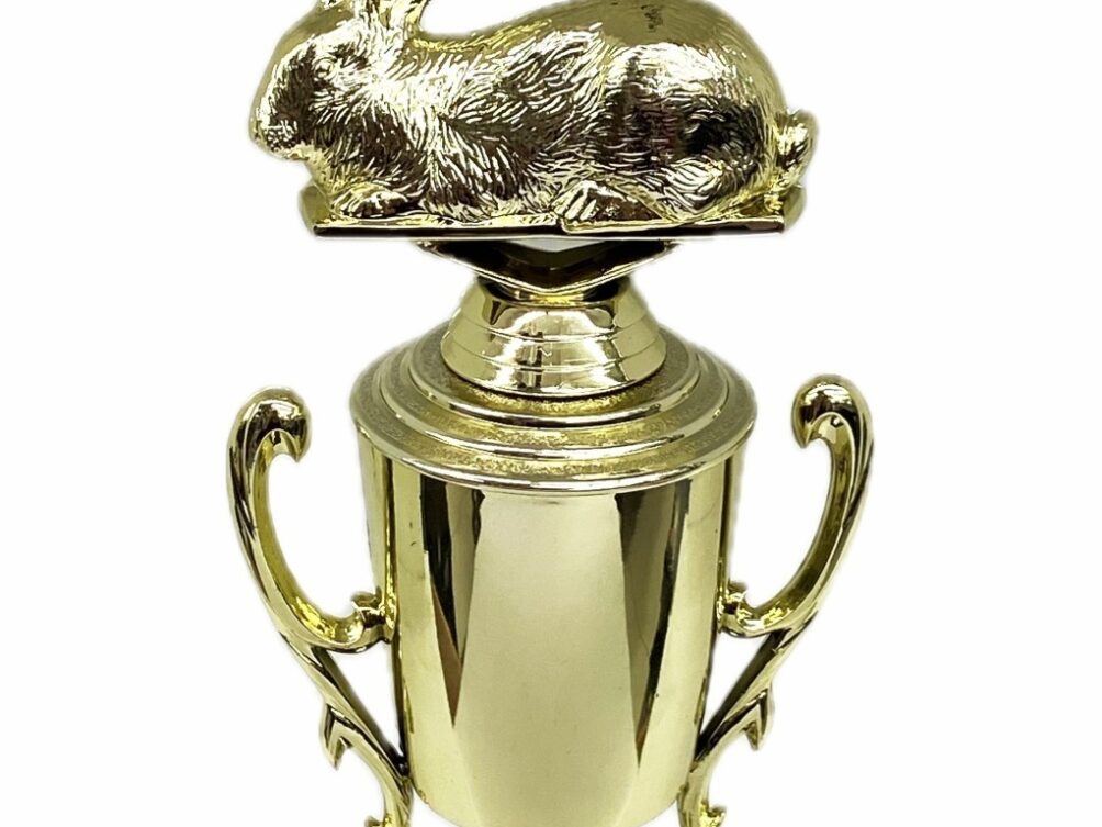 Rabbit  Trophy 240mm