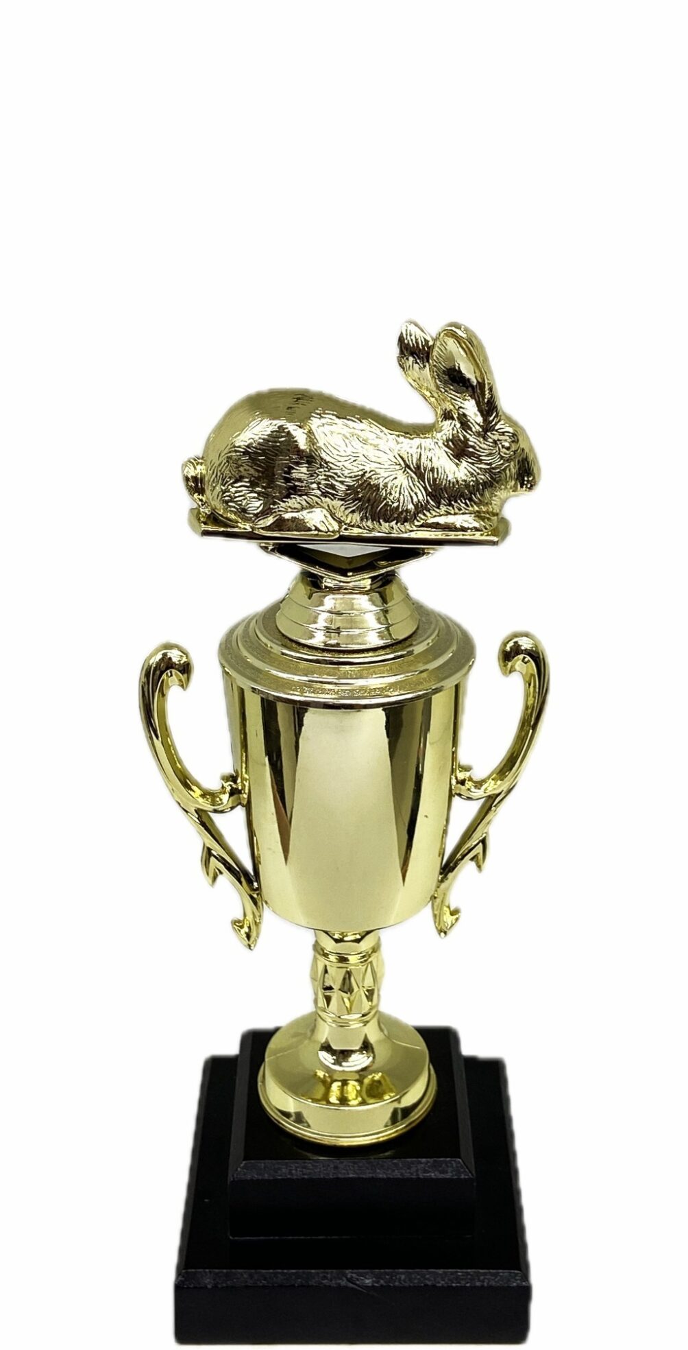 Rabbit  Trophy 240mm