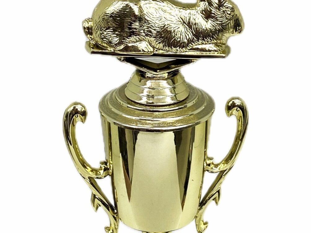 Rabbit  Trophy 240mm