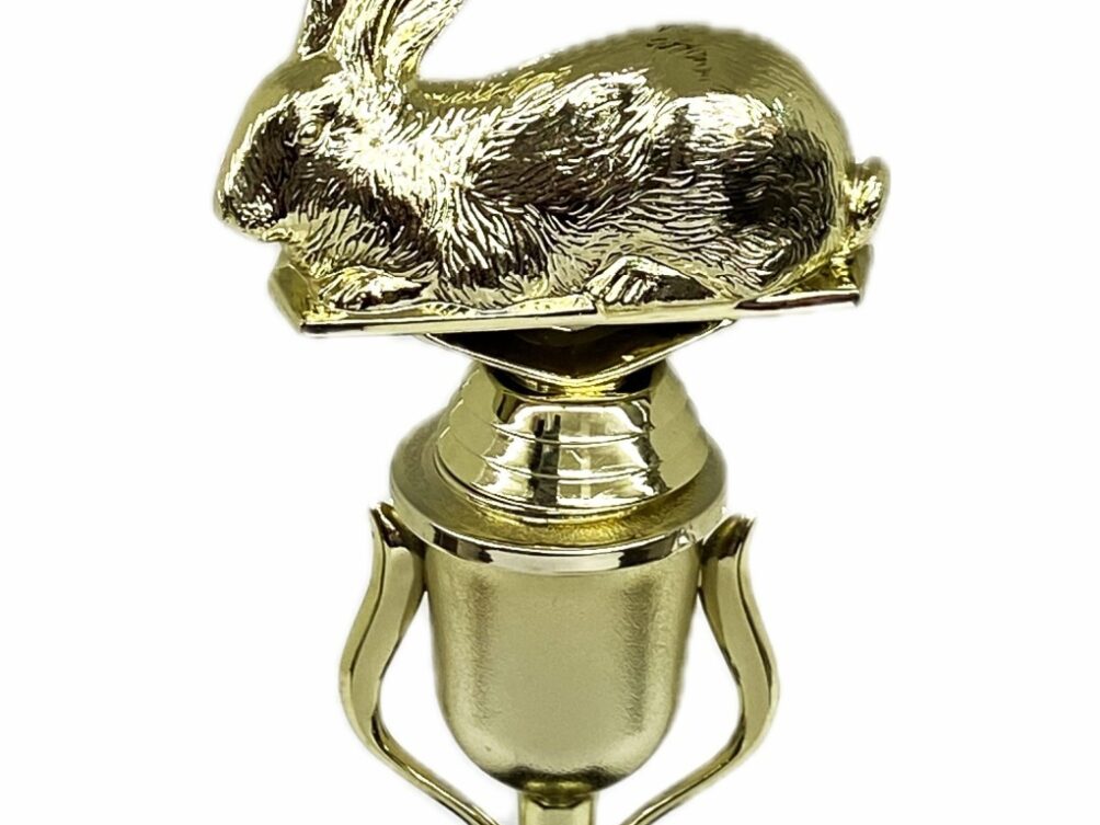 Rabbit Trophy 240mm