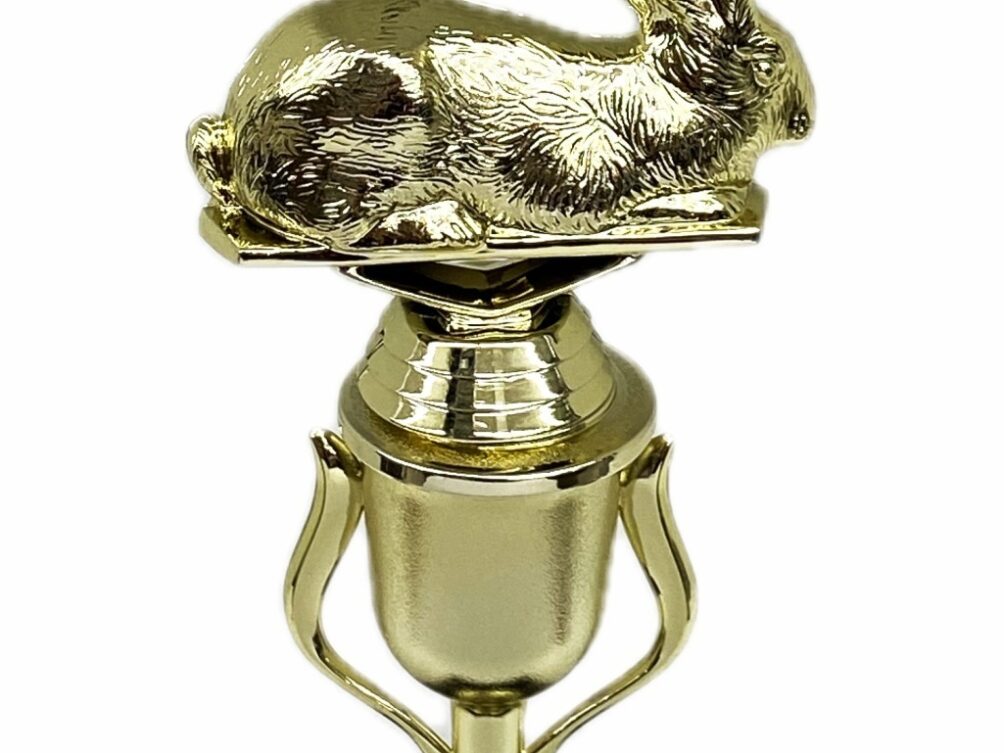 Rabbit Trophy 240mm