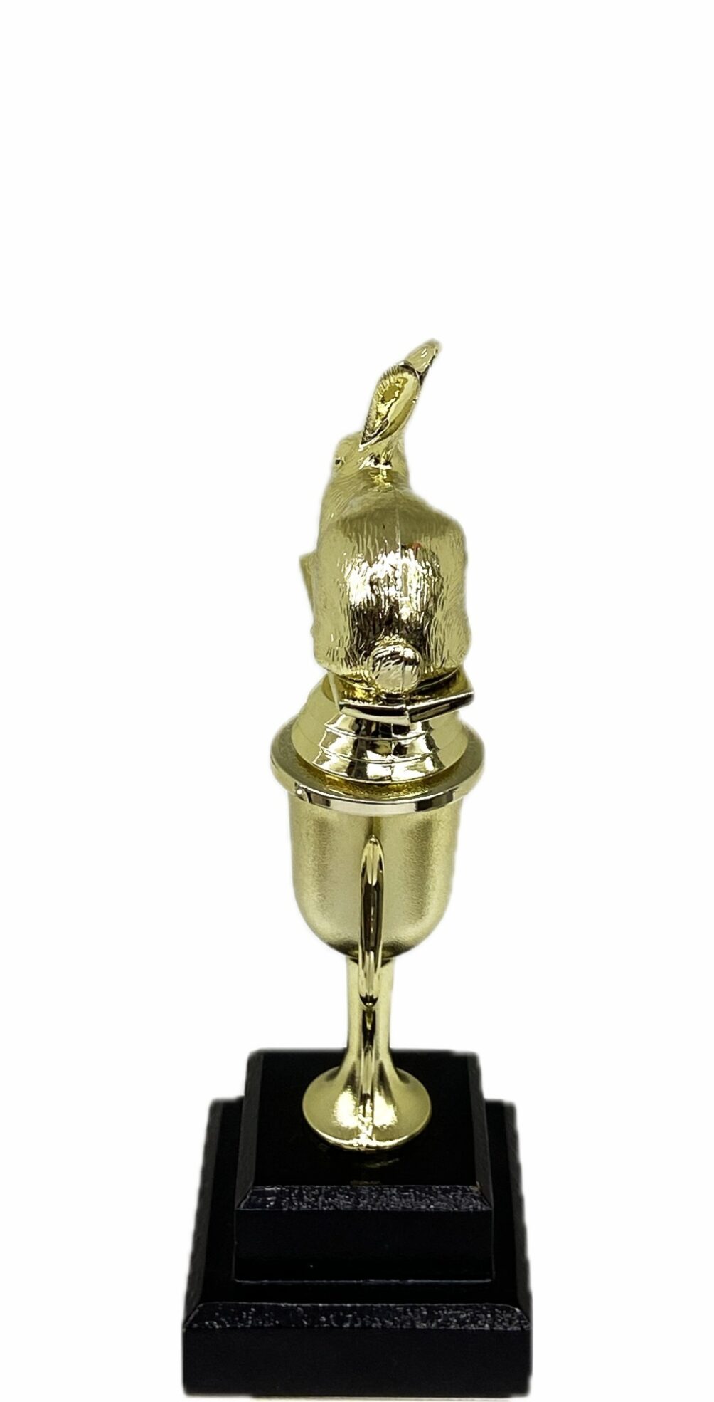 Rabbit Trophy 240mm