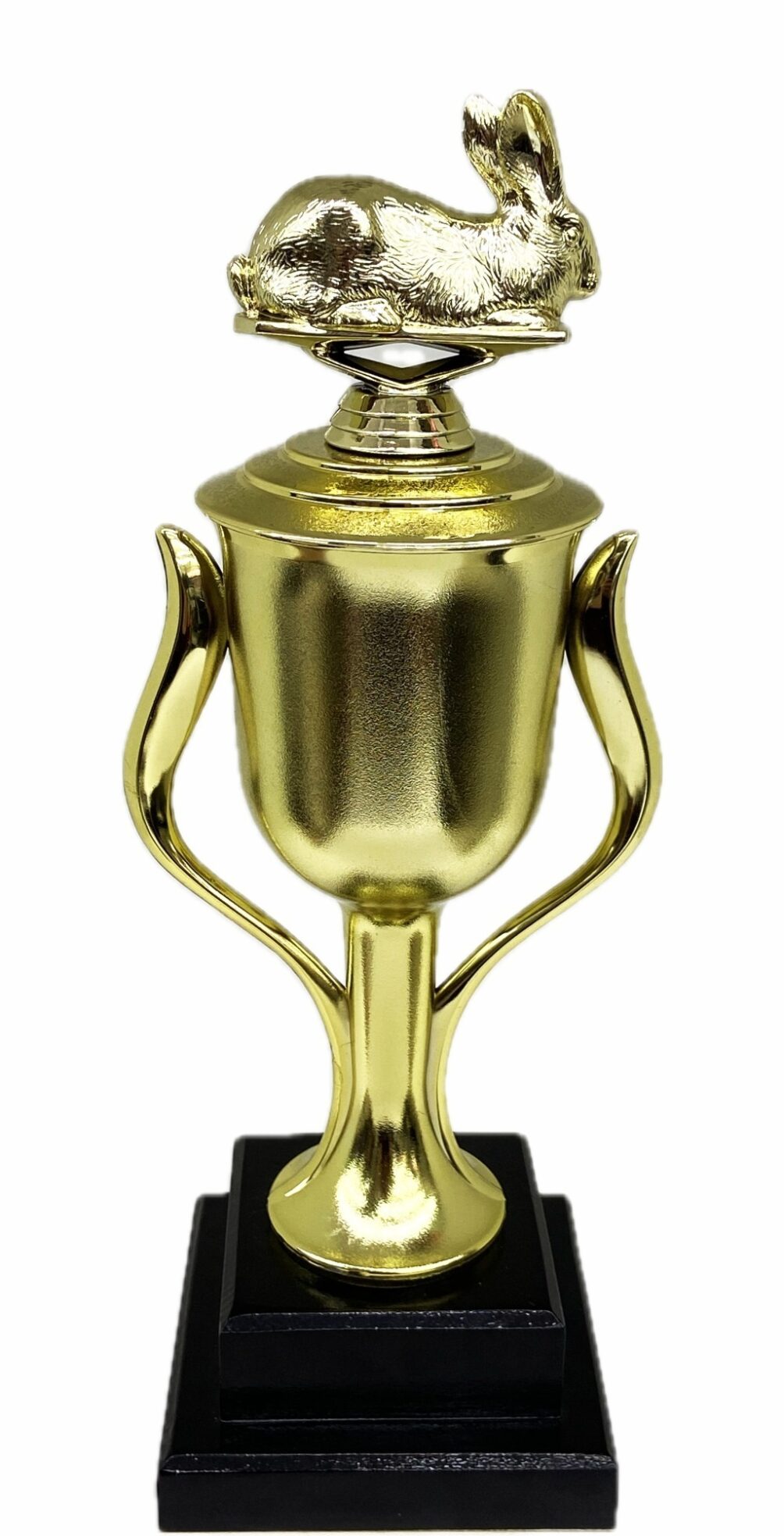 Rabbit Trophy 315mm