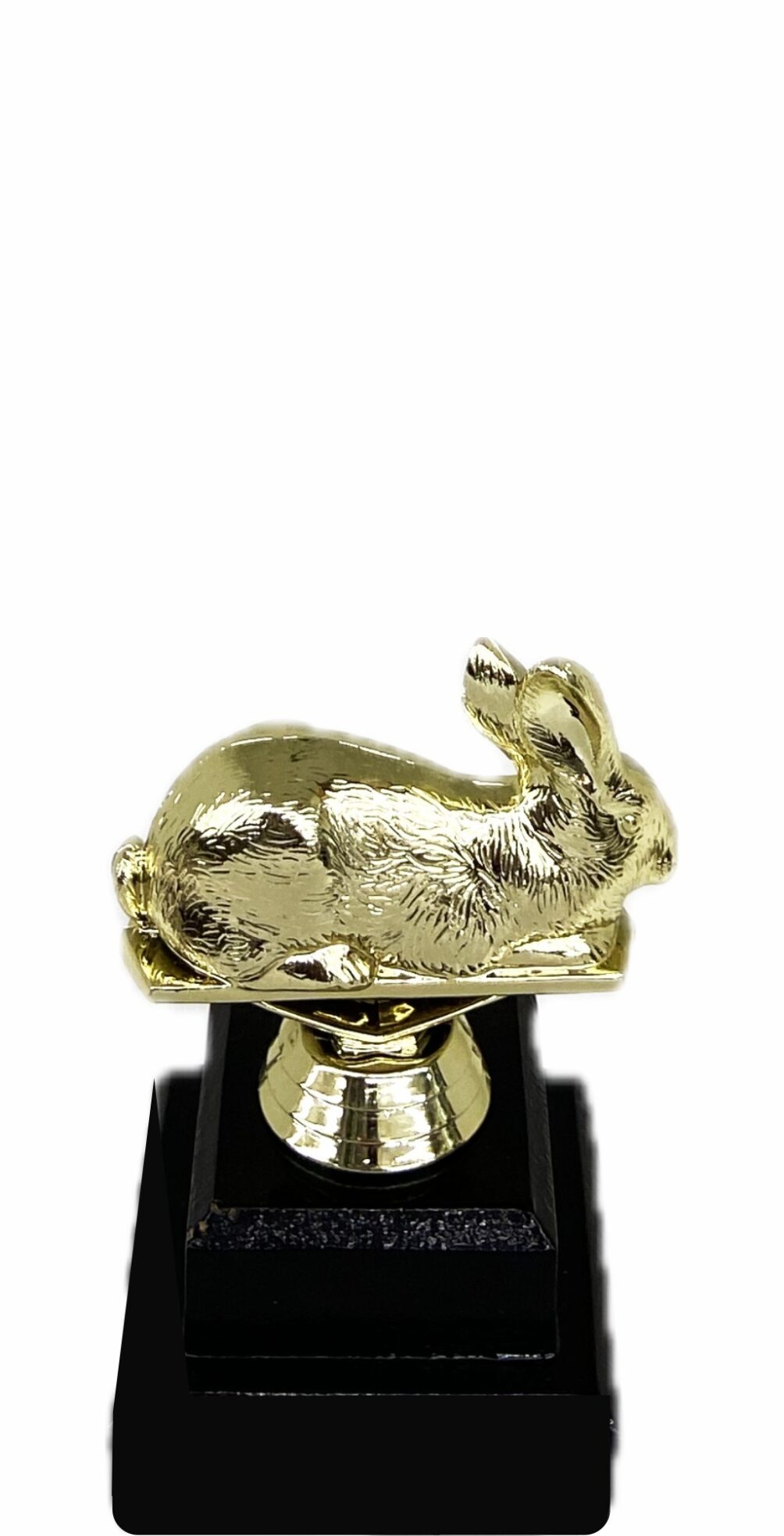 Rabbit  Trophy 125mm