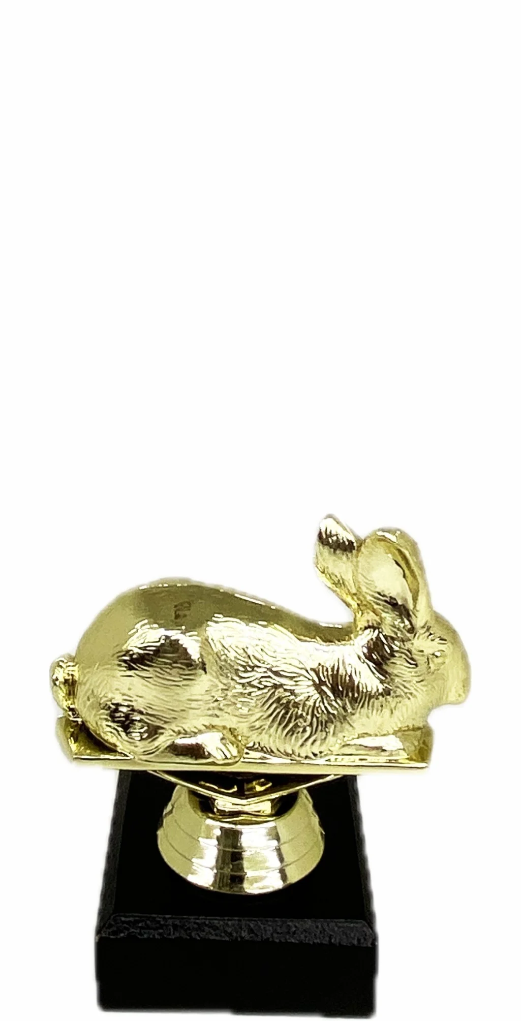 Rabbit Trophy 100mm