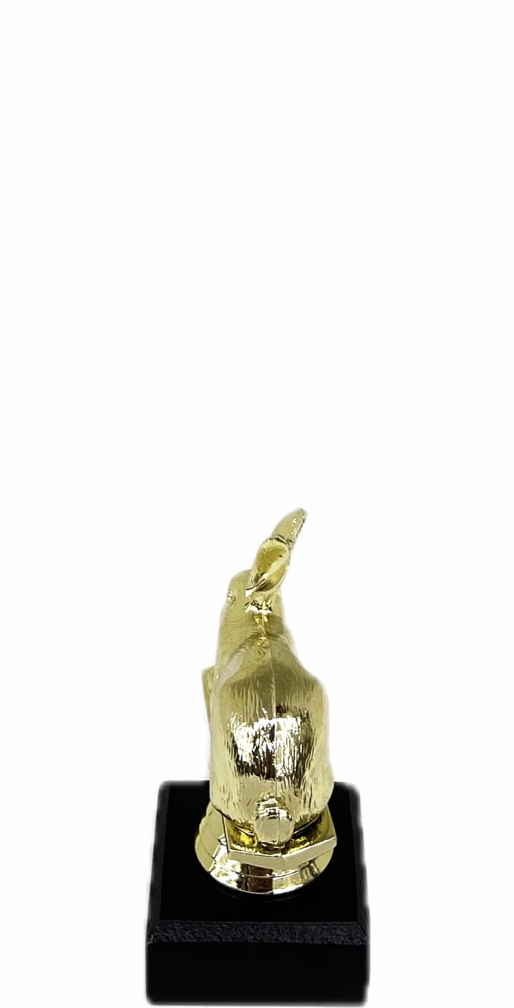 Rabbit Trophy 100mm
