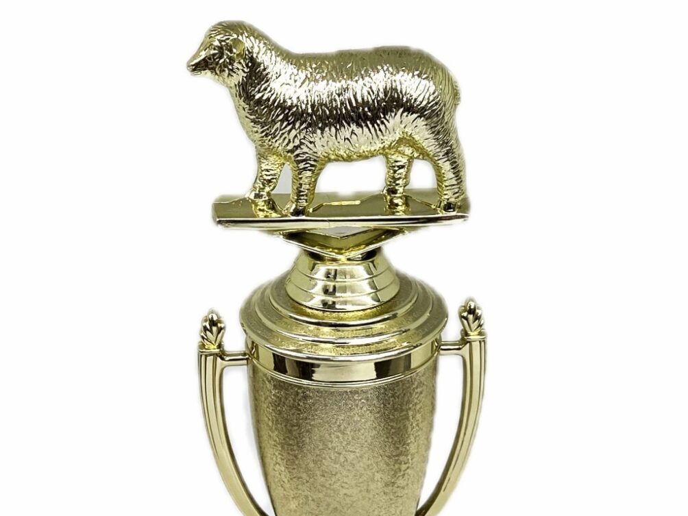 Sheep Trophy 215mm