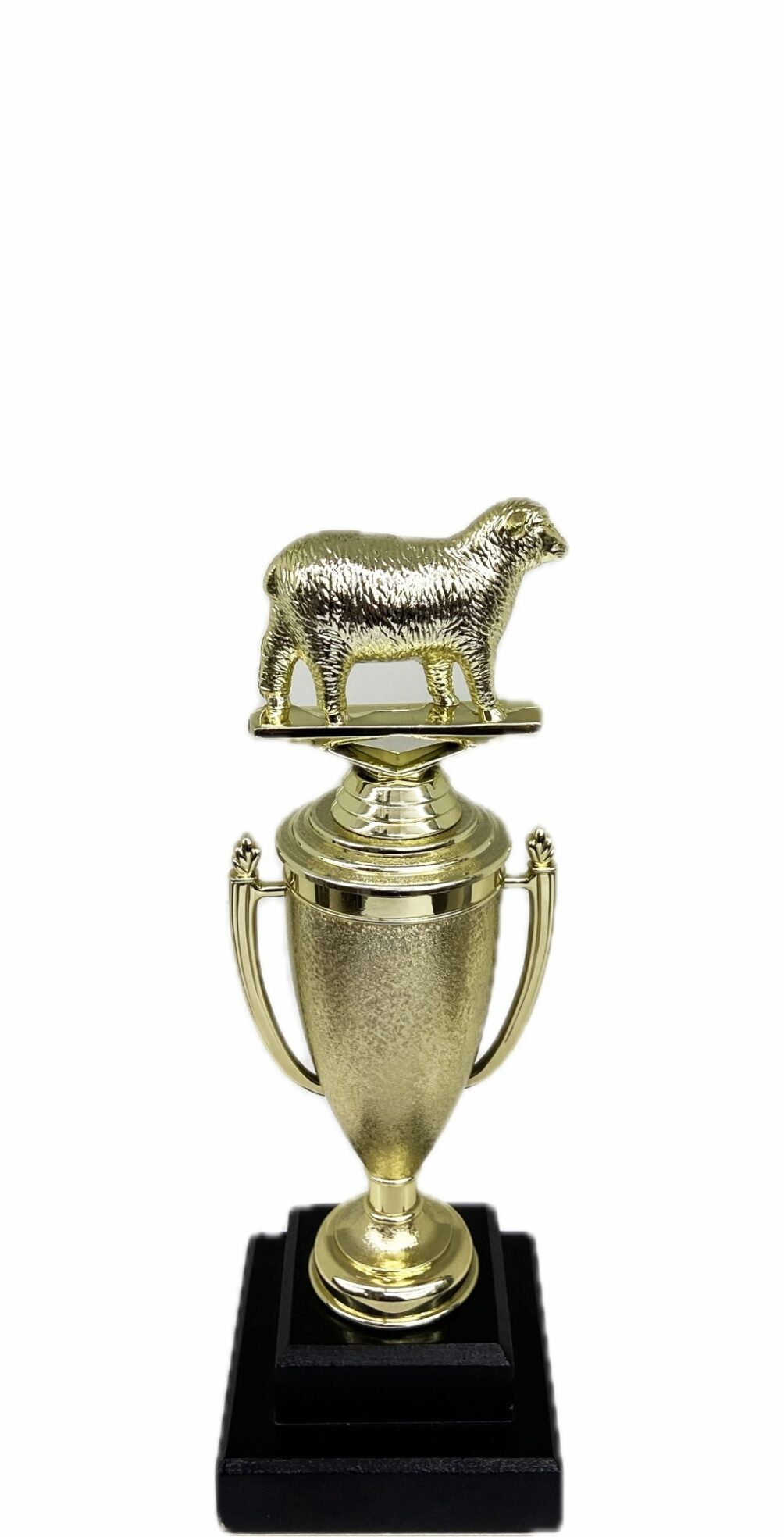 Sheep Trophy 215mm