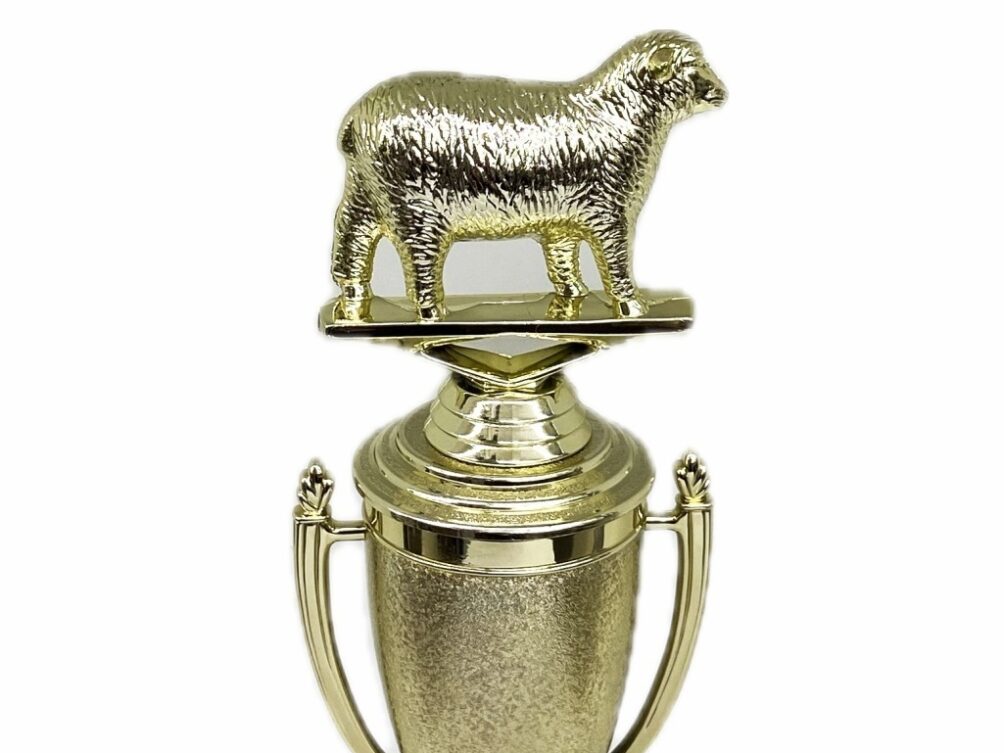 Sheep Trophy 215mm