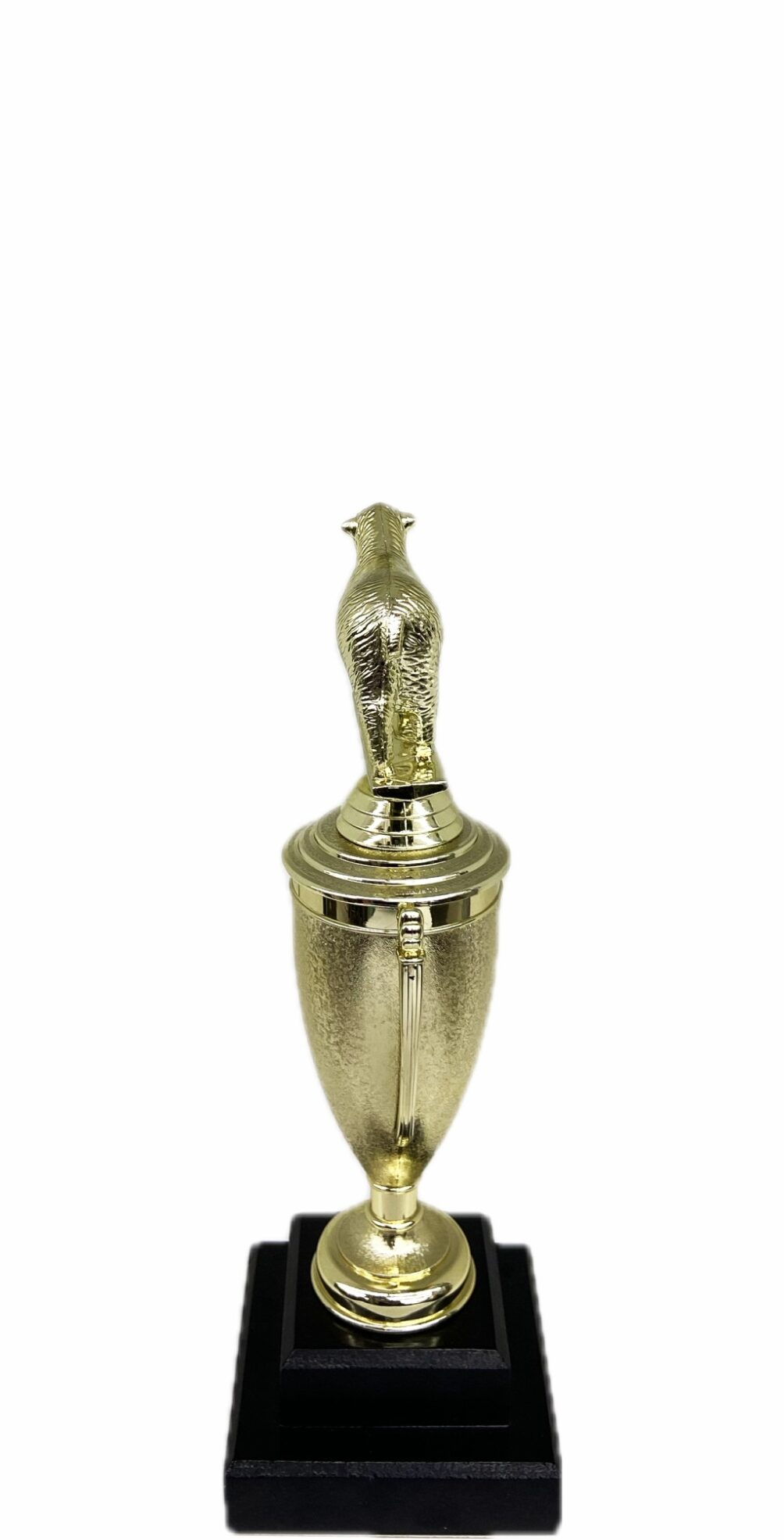 Sheep Trophy 215mm