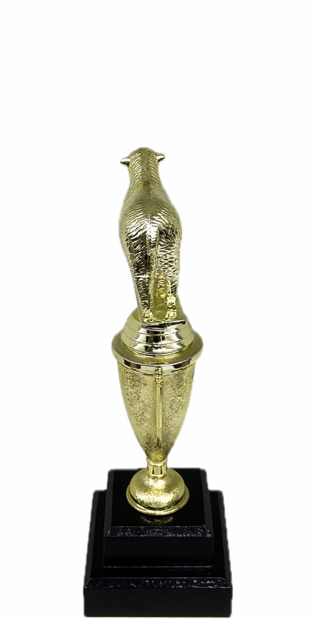 Sheep Trophy 240mm