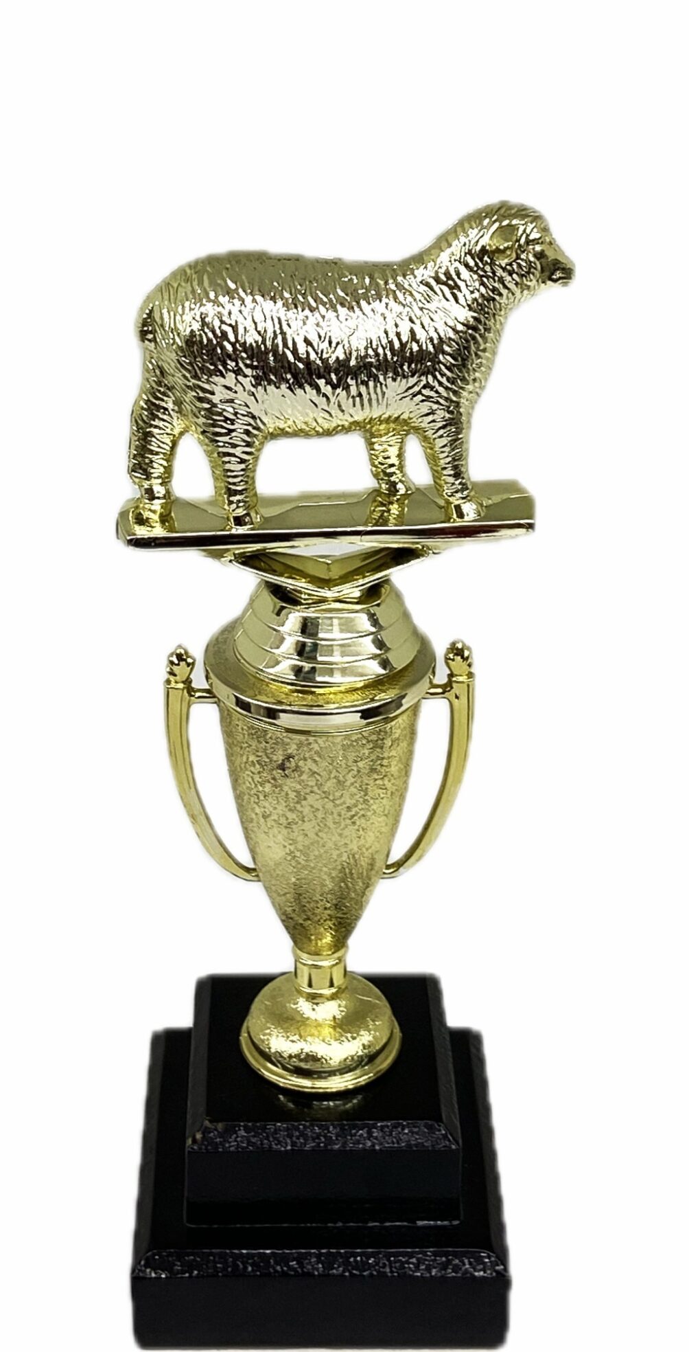 Sheep Trophy 275mm