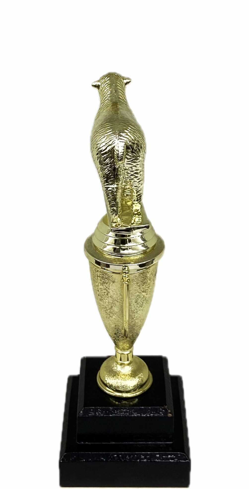 Sheep Trophy 275mm