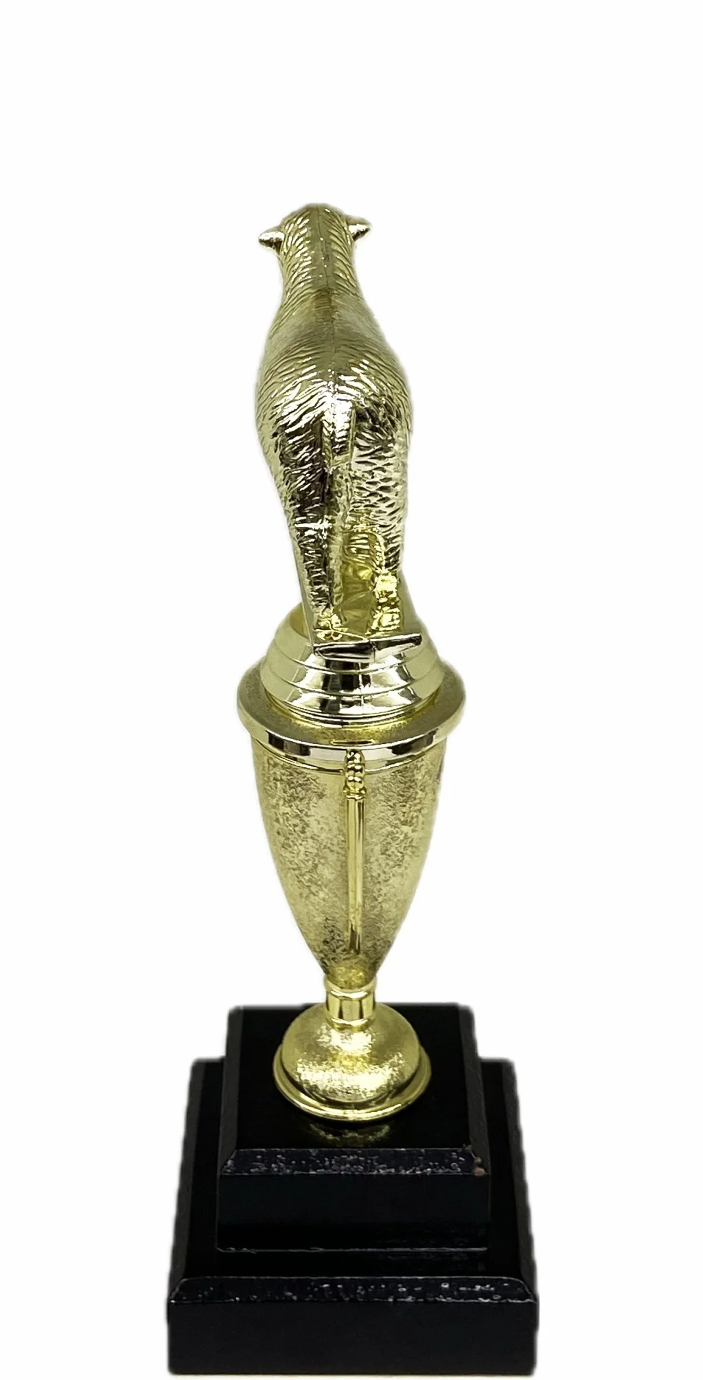 Sheep Trophy 275mm