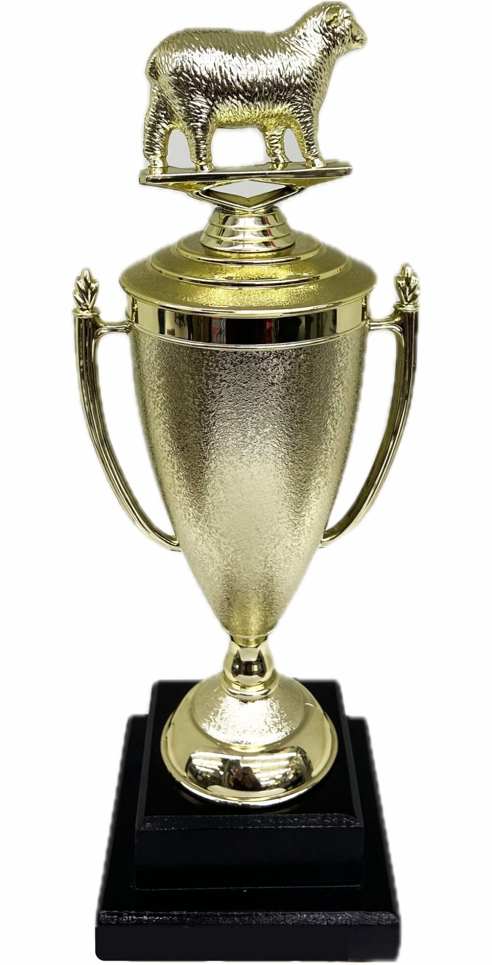 Sheep Trophy 355mm