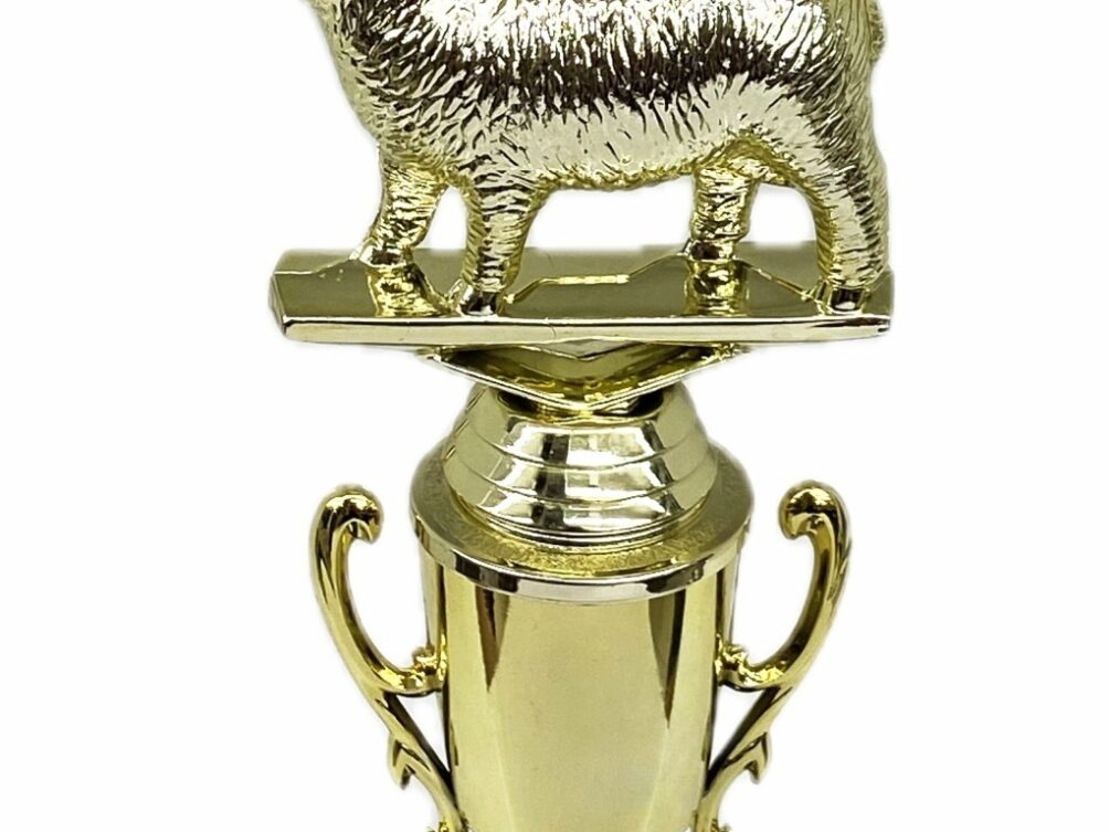 Sheep Trophy 240mm