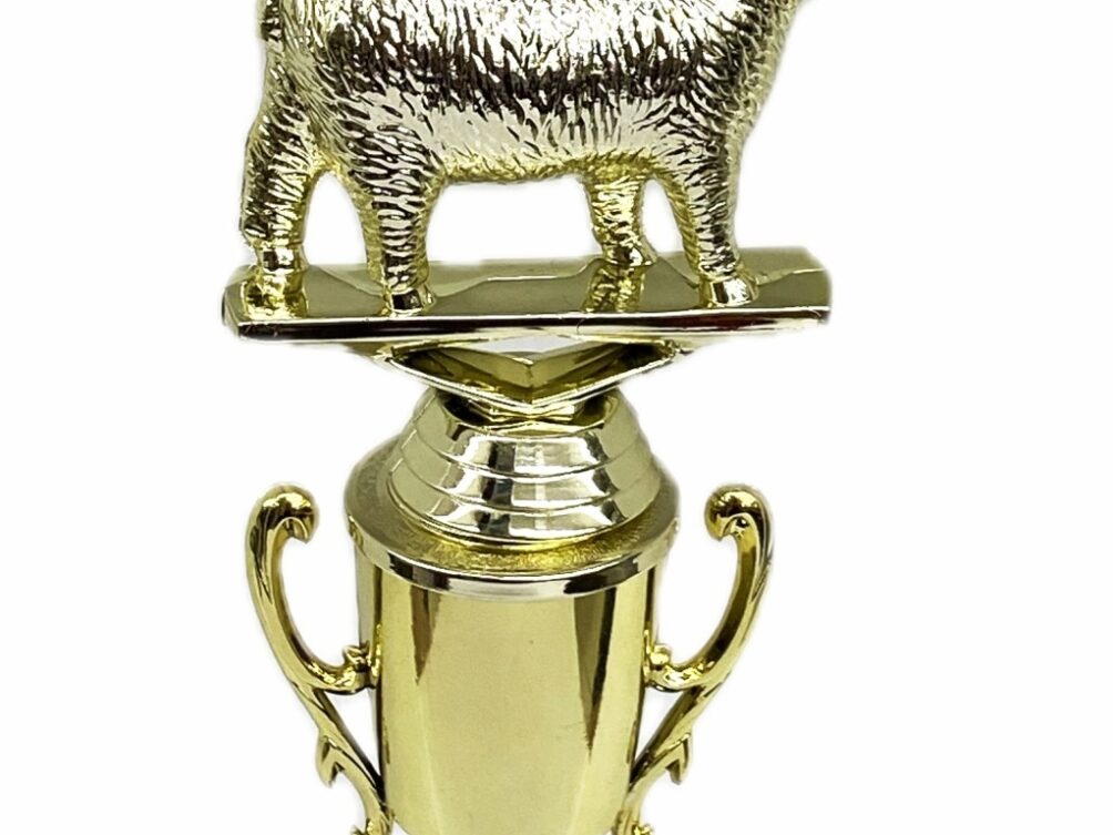 Sheep Trophy 240mm