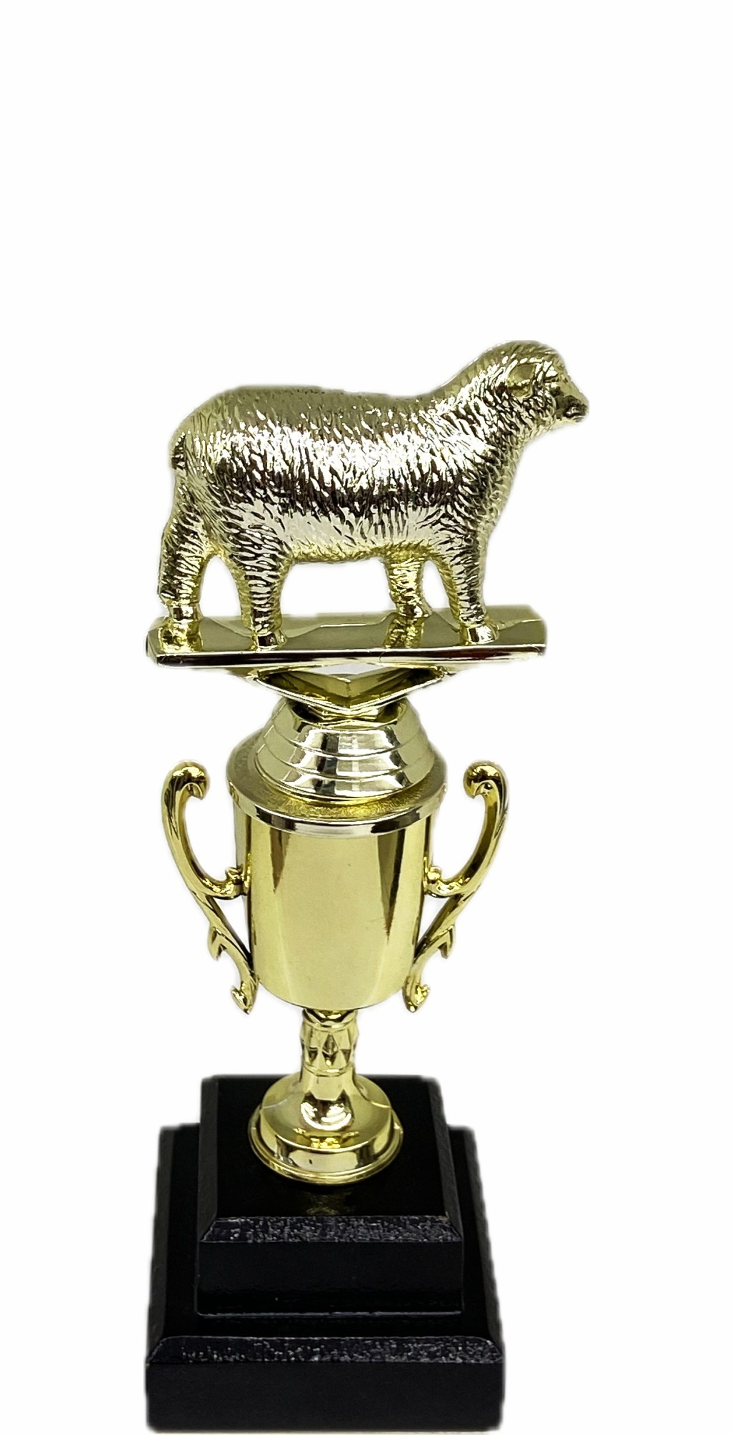 Sheep Trophy 240mm