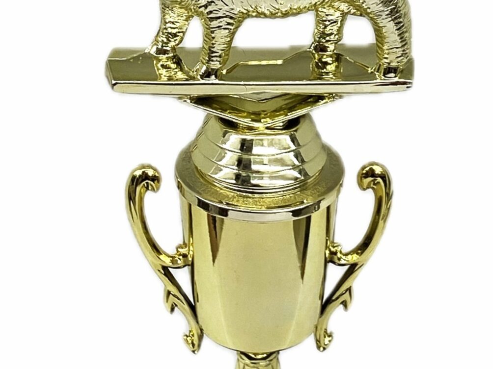 Sheep Trophy 275mm