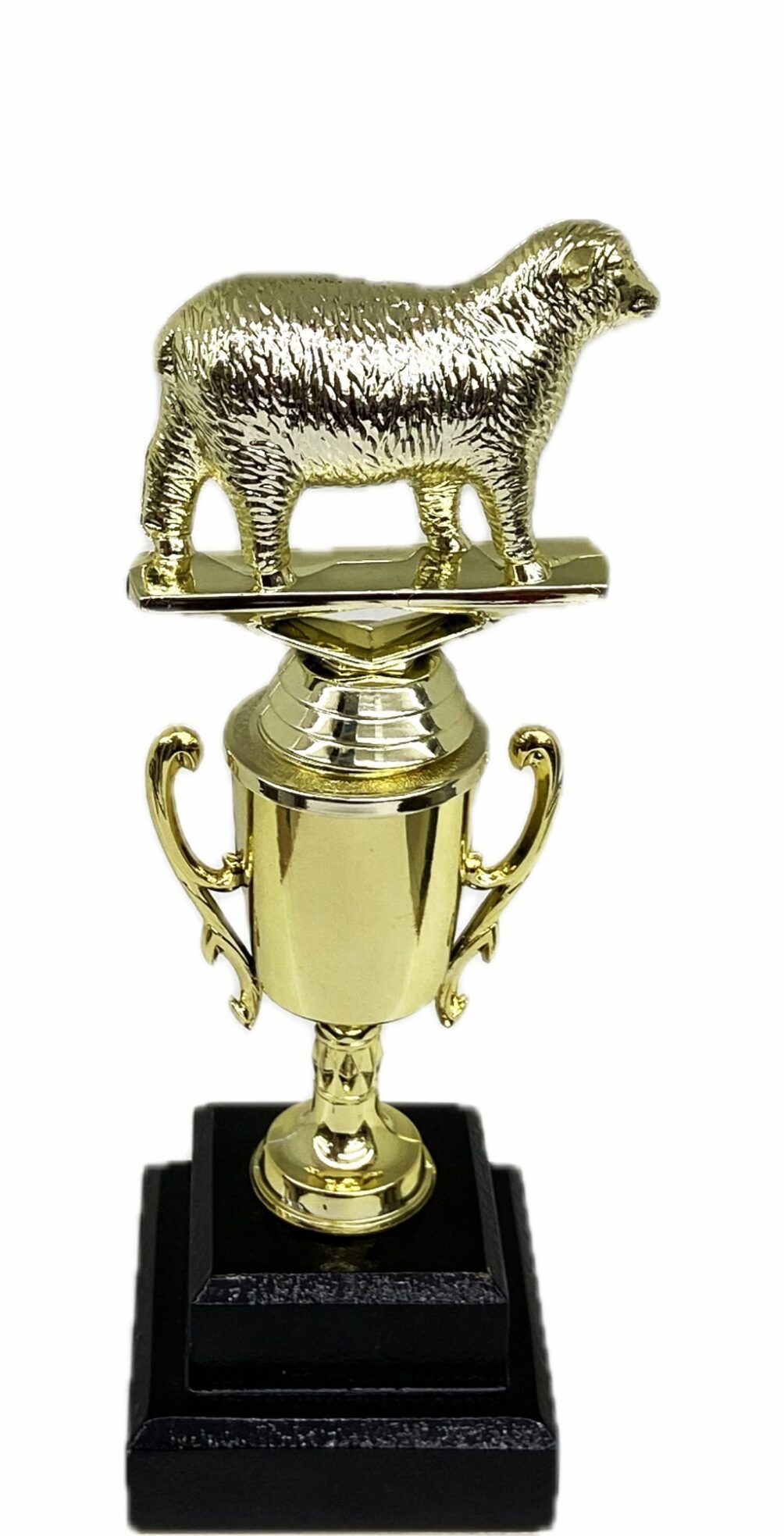 Sheep Trophy 275mm
