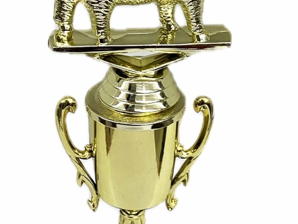 Sheep Trophy 275mm
