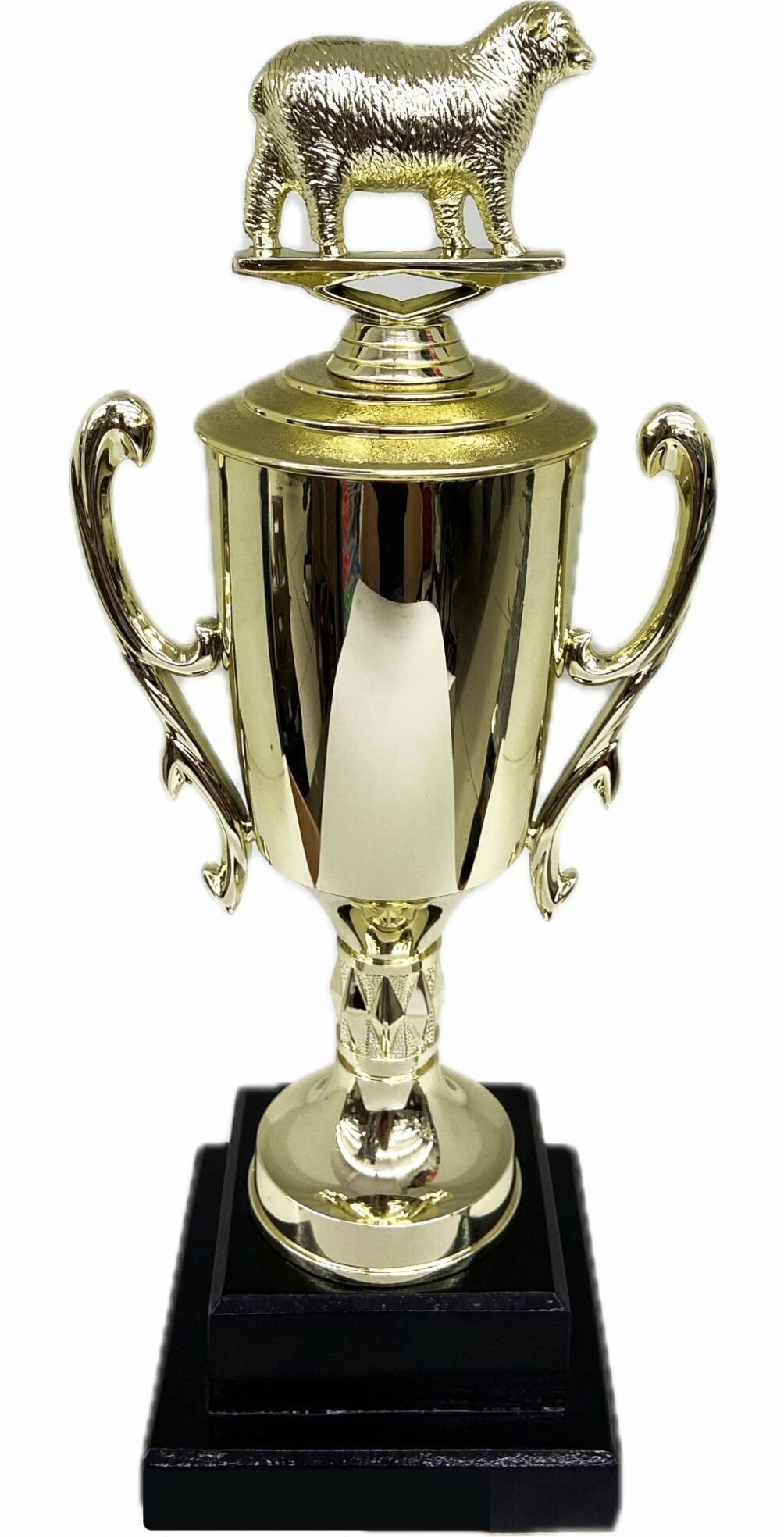 Sheep Trophy 355mm