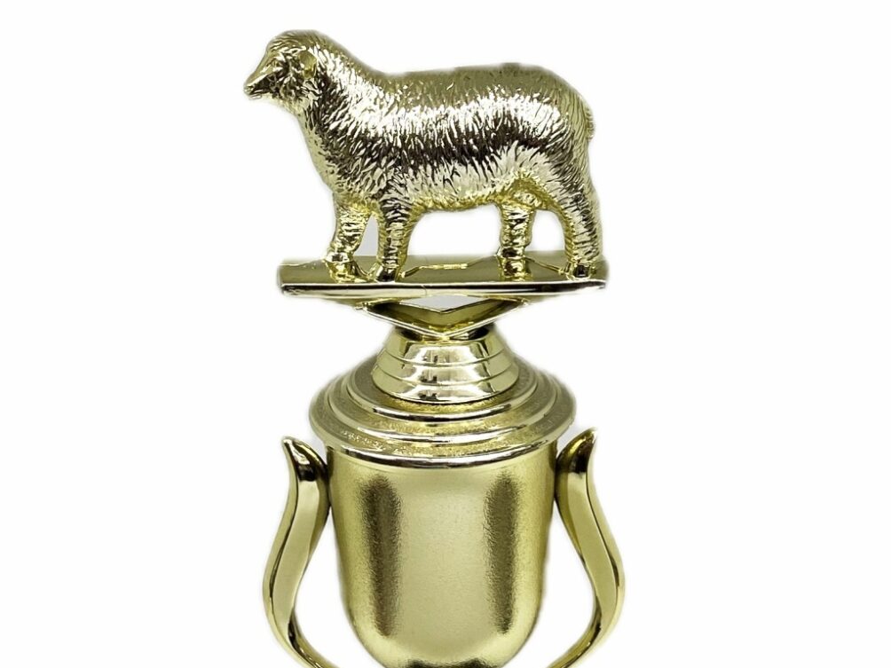 Sheep Trophy 215mm