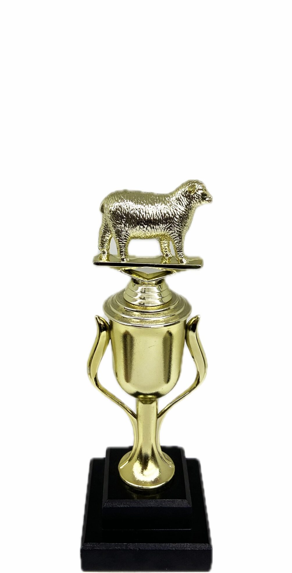 Sheep Trophy 215mm