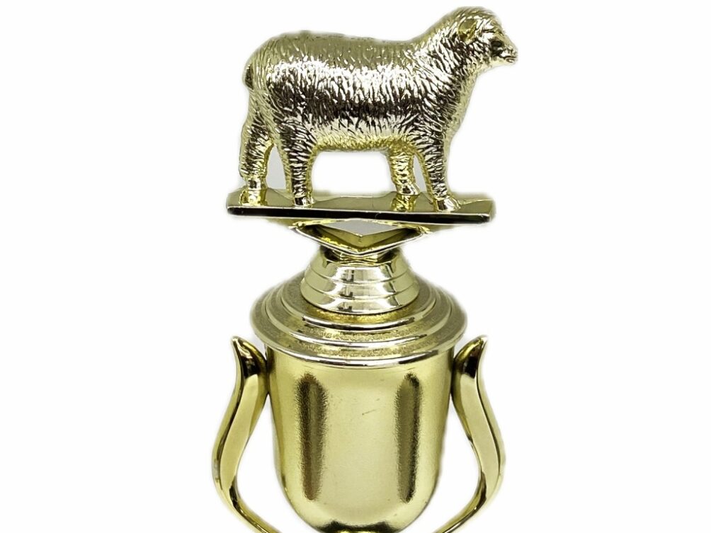 Sheep Trophy 215mm