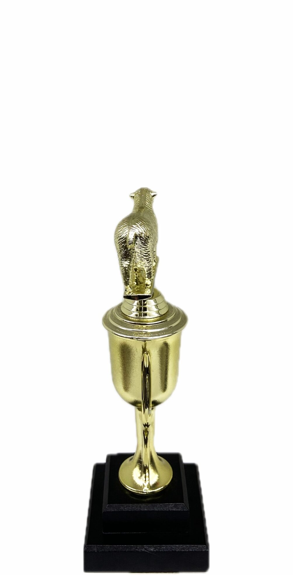 Sheep Trophy 215mm