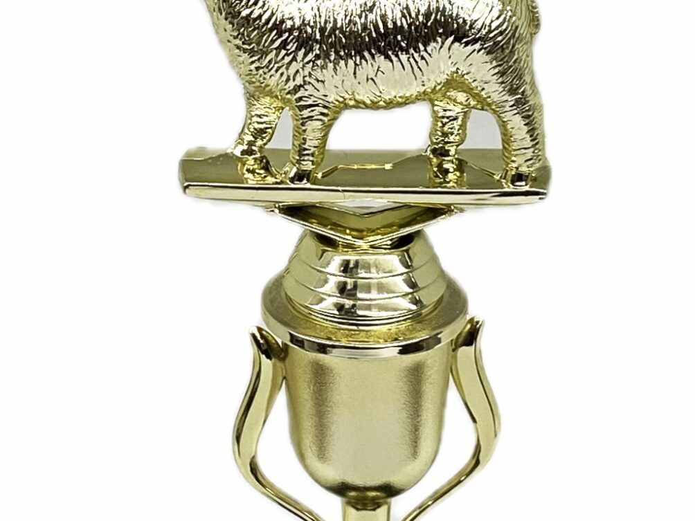 Sheep Trophy 240mm