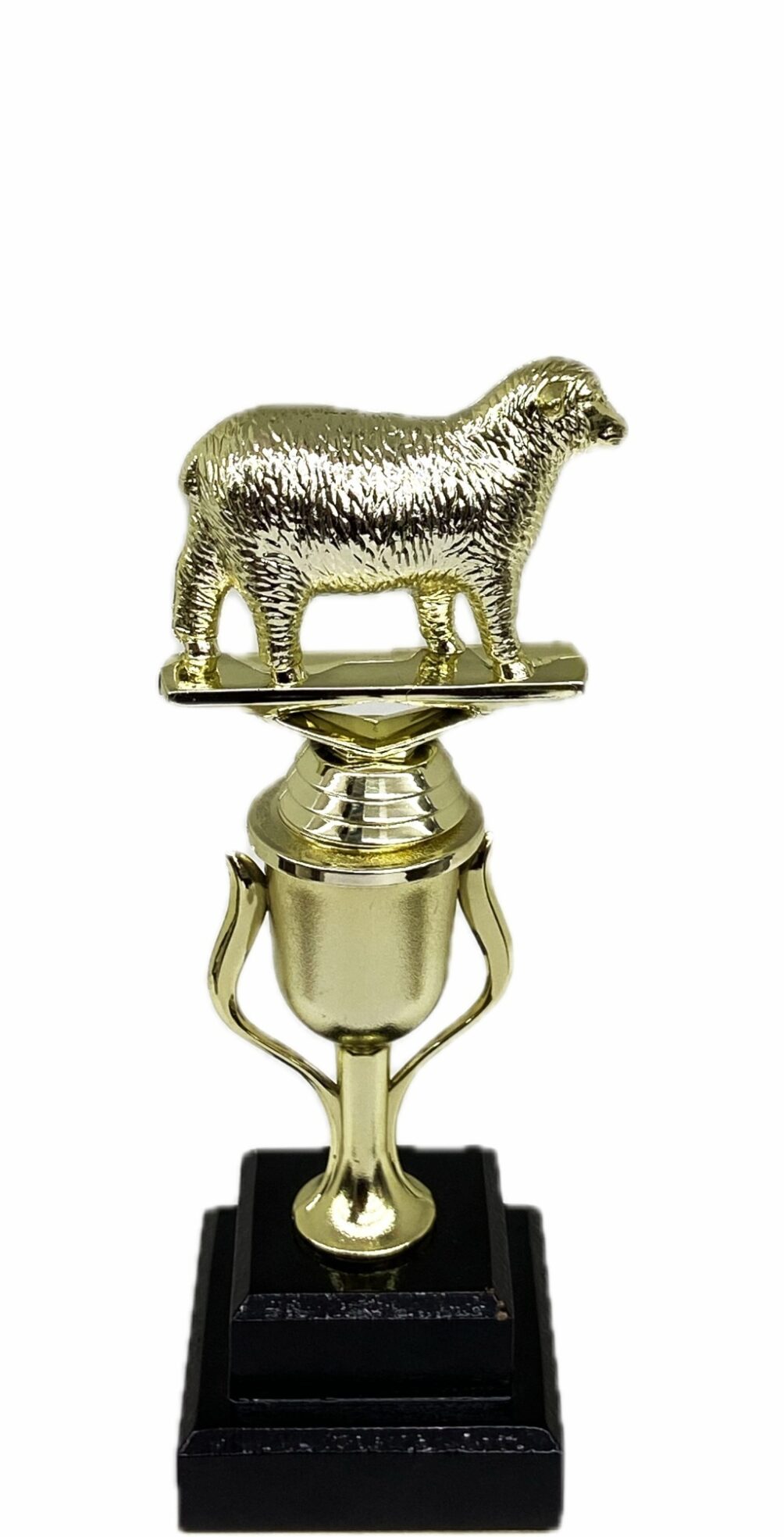 Sheep Trophy 240mm