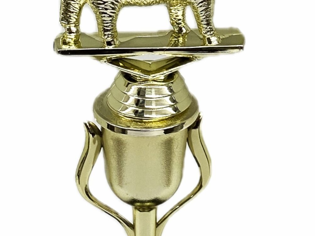 Sheep Trophy 275mm