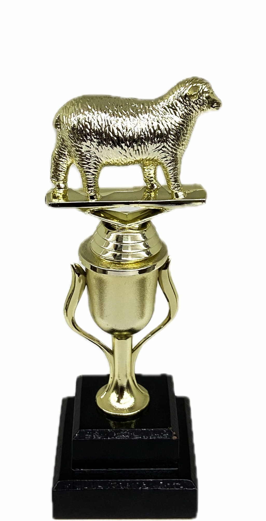 Sheep Trophy 275mm