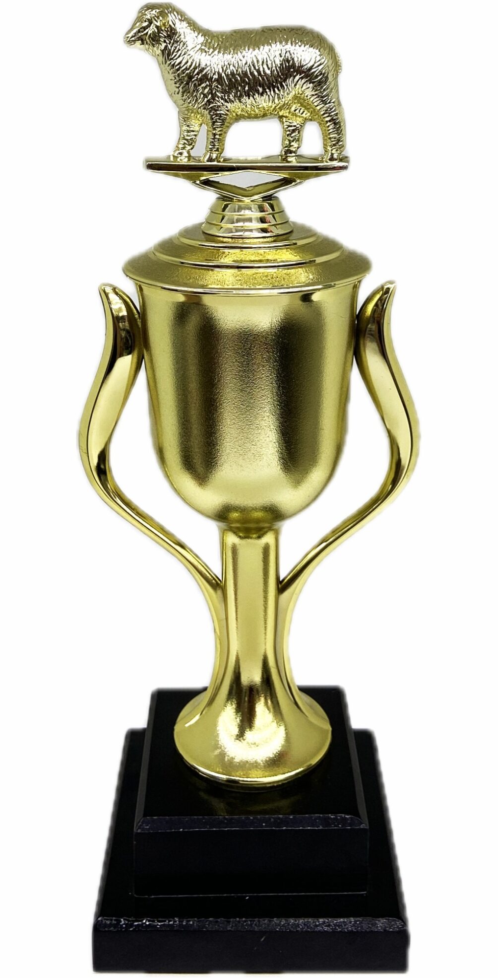 Sheep Trophy 355mm