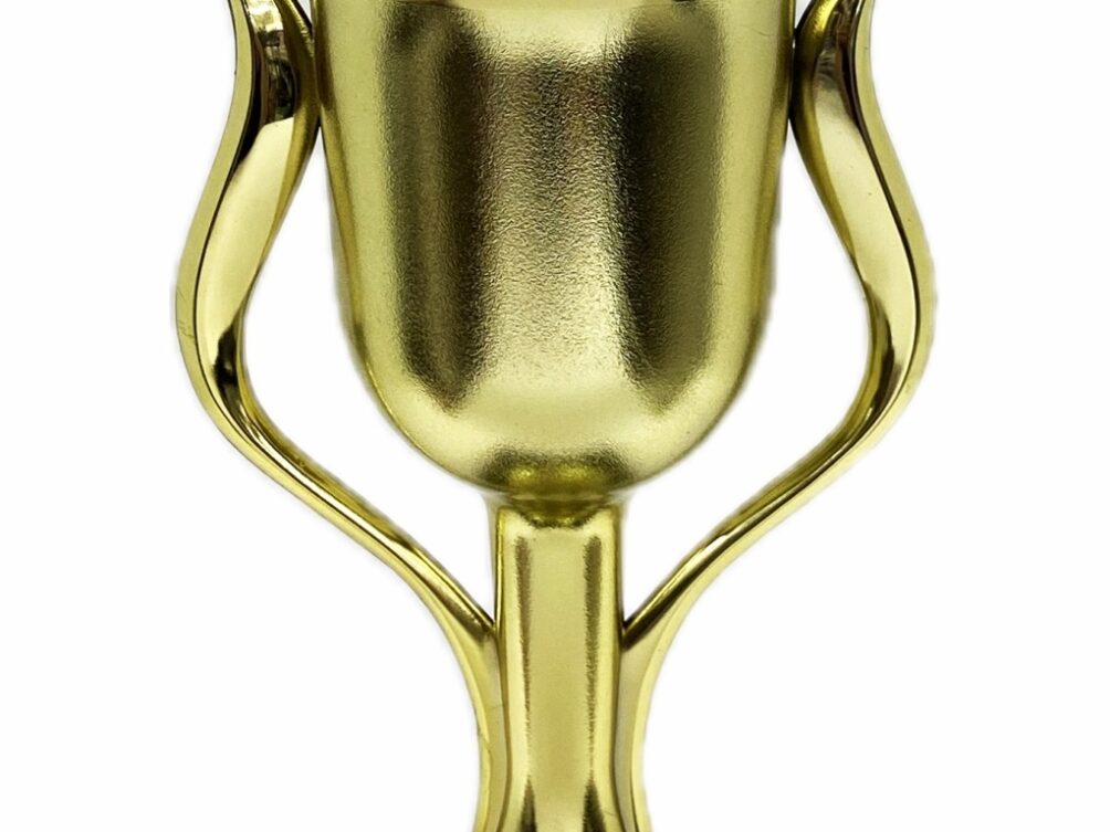 Sheep Trophy 355mm