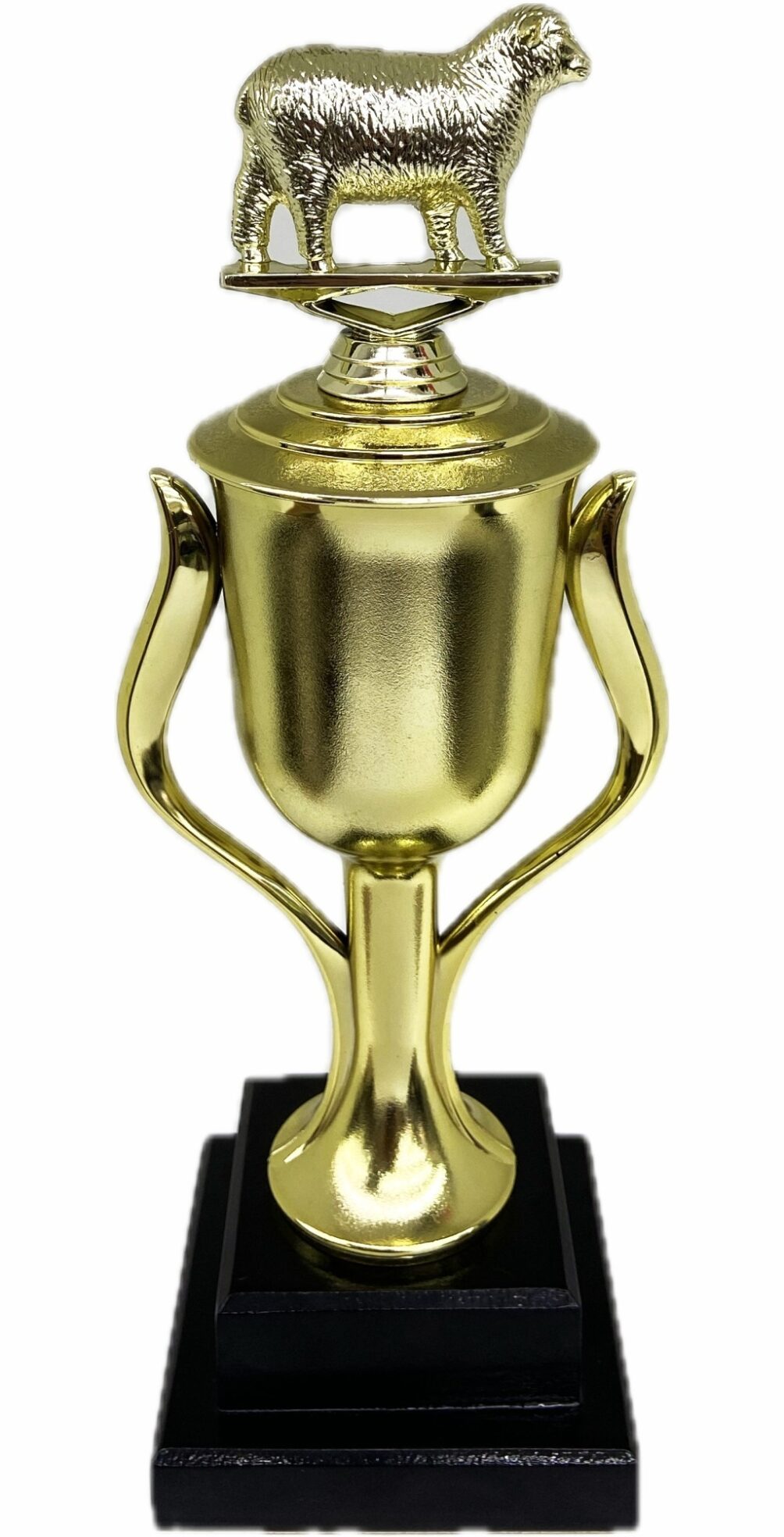 Sheep Trophy 355mm