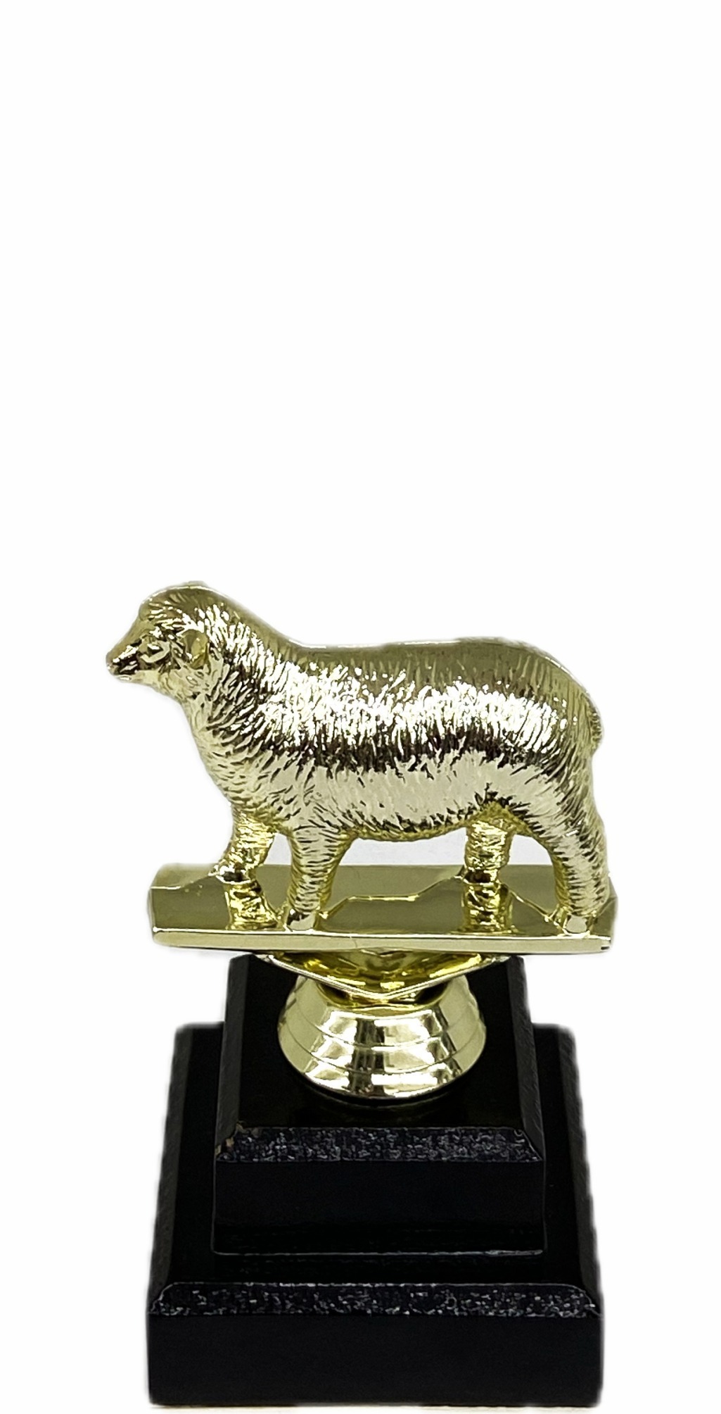 Sheep Trophy 125mm
