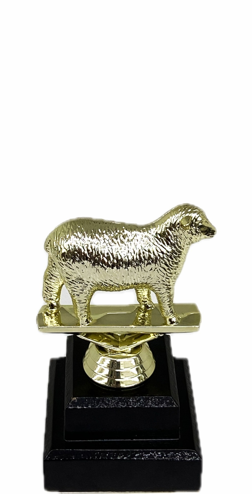 Sheep Trophy 125mm