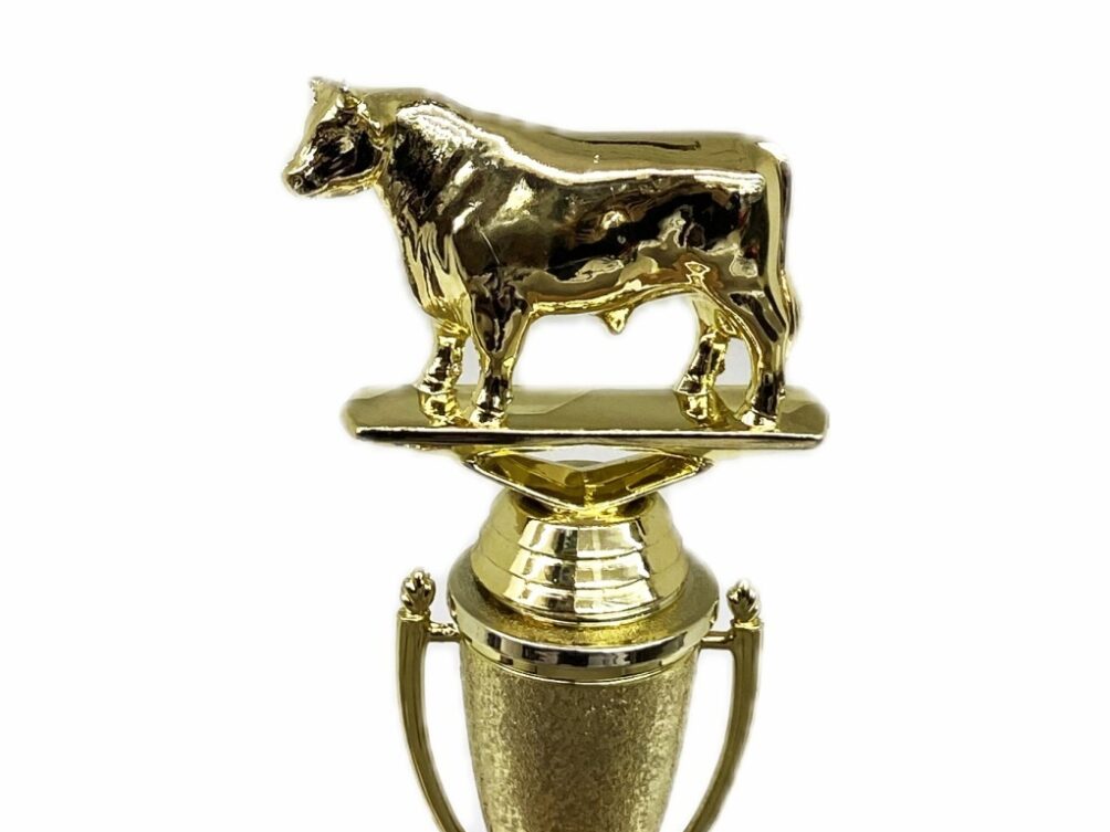 Dairy Bull Trophy 215mm