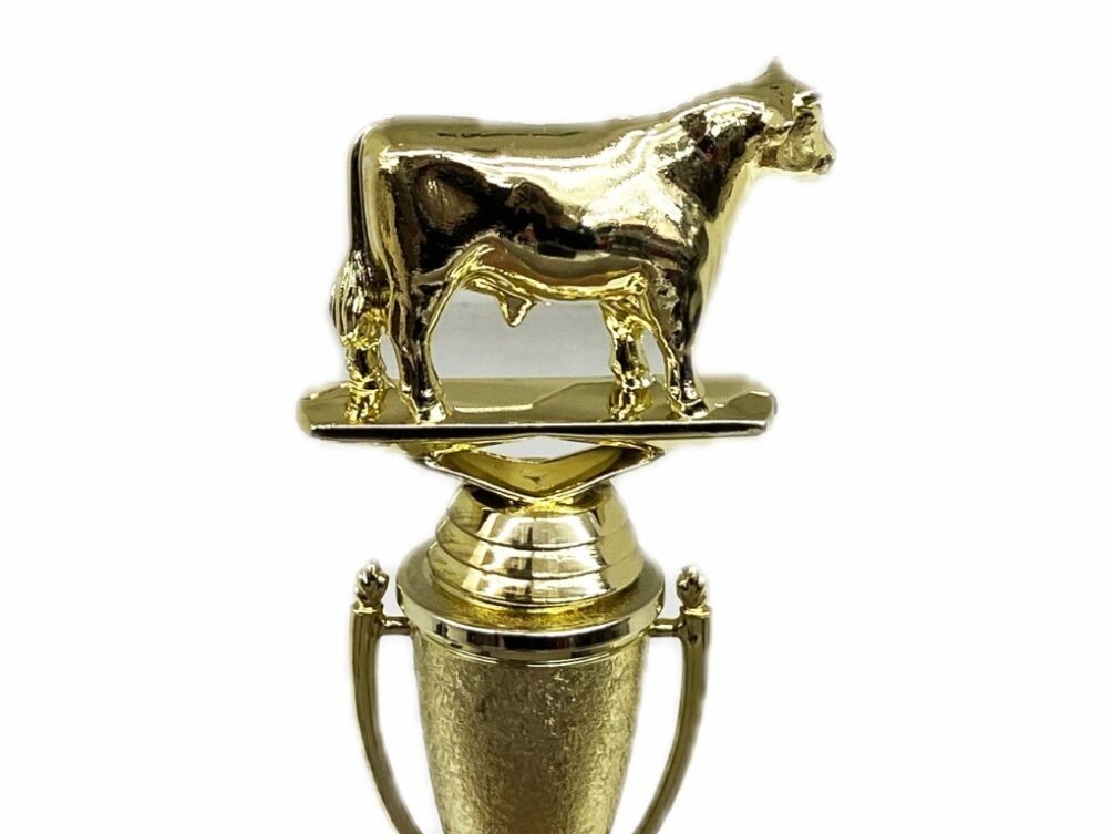 Dairy Bull Trophy 215mm