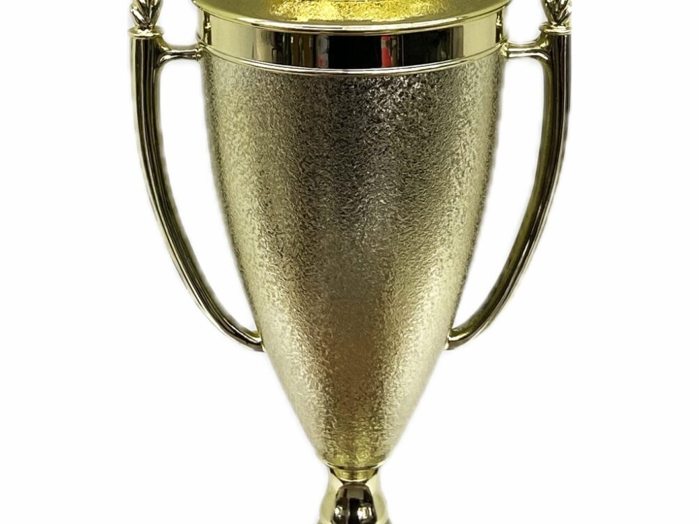 Dairy Bull Trophy 315mm